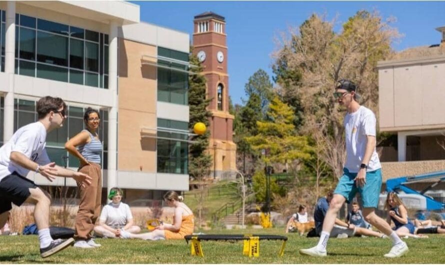 Best Daily Routine for Students Who Are Always Busy