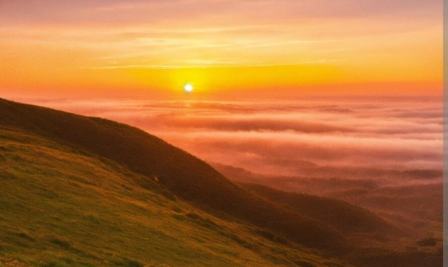 Starting Over in Life: Finding Strength and Hope in New Beginnings