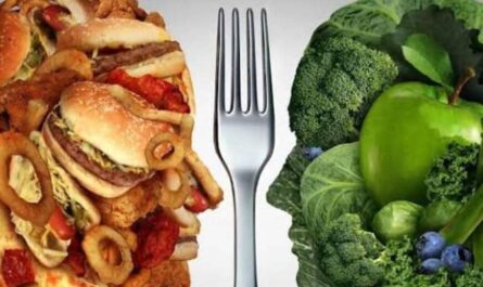 meals that affect our health